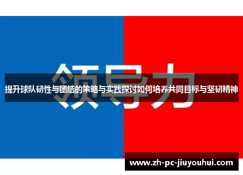 提升球队韧性与团结的策略与实践探讨如何培养共同目标与坚韧精神