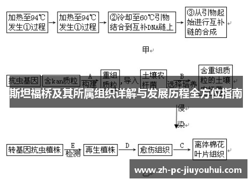 斯坦福桥及其所属组织详解与发展历程全方位指南 斯坦福桥及其所属组织详解与发展历程全方位指南