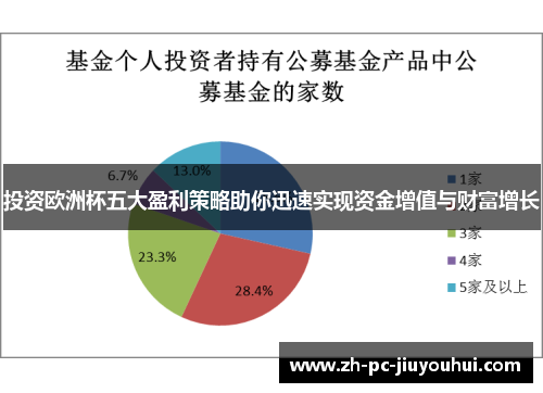 投资欧洲杯五大盈利策略助你迅速实现资金增值与财富增长